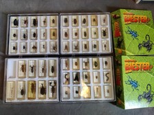 Mini biester insekten gebraucht kaufen  Berlin