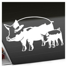 Schwein motiv sau gebraucht kaufen  Leipzig