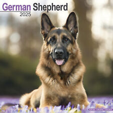 German shepherd calendar for sale  UK