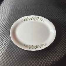 Buffalo china dogwood for sale  Red Lion