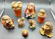 Adorable hedgehog family for sale  LEEDS