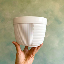 Plastic planter small for sale  Webster