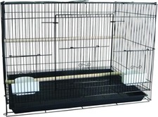 Yml small bird for sale  Fairfield