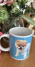 Boo pomeranian dog for sale  NOTTINGHAM