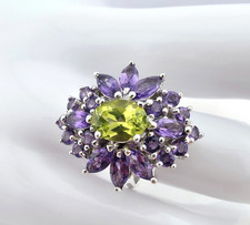 Harry ivens ring gebraucht kaufen  Möhnesee