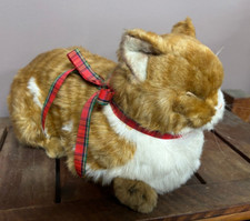 applause cat for sale applause cat for sale Alta Vista