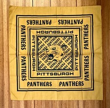 University pittsburgh panthers for sale  Hayward