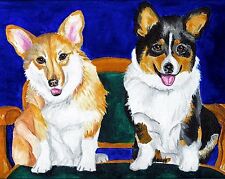 Pembroke welsh corgi for sale  Broomfield