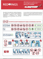 Safety card redwings d'occasion  Châteauneuf-en-Thymerais