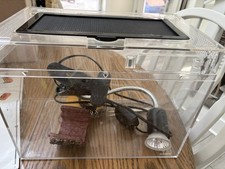 Small reptile amphibian for sale  Townsend