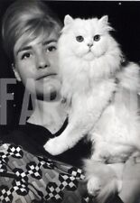 Vintage bel gatto usato  Roma