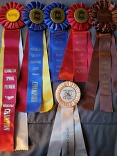 horse show ribbons for sale  Palm Desert