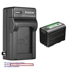 Kastar battery wall for sale  USA