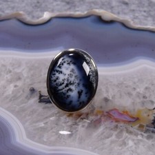Dendriten pal ring gebraucht kaufen  Berlin