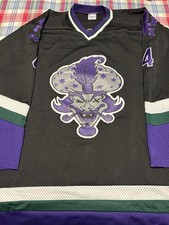 Rare 1999 insane for sale  Camby