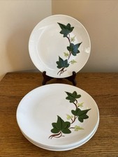 Set blue ridge for sale  New Franken