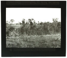 Corrediça de vidro original década de 1920 BRASIL Campos Rio Pardo, São Paulo, usado comprar usado  Enviando para Brazil