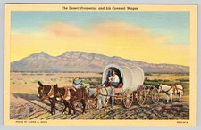 Postcard desert prospector for sale  Reading