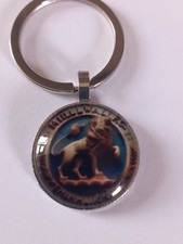 Millwall football club for sale  GLOUCESTER