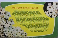 dogwood for sale dogwood for sale Shipping to Ireland