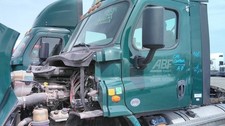 Freightliner cascadia 113 for sale  USA