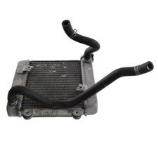 Radiatore acqua honda usato  Italia