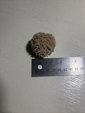 Sand selenite unknown for sale  Secaucus