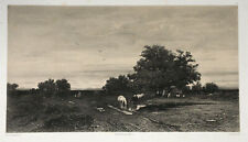 Cheval vaches jules d'occasion  Pluvigner