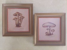 Ruane manning mushroom for sale  Indianapolis