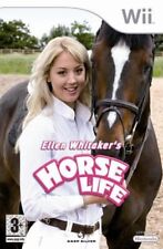 Ellen whitaker horse for sale  UK
