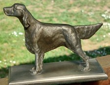 irish setter dogs for sale irish setter dogs for sale Amity
