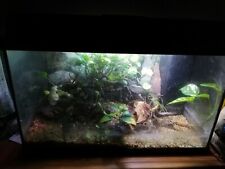 Acquario 80l con usato  Baiano