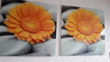 Tlg glasbilder 50 gebraucht kaufen  Gemünden