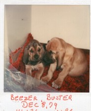 Vintage polaroid photo for sale  Collingswood