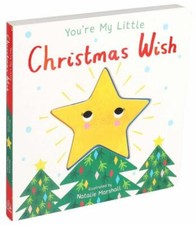 Little christmas wish for sale  Aurora