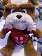 Posh paws england for sale  HARLOW