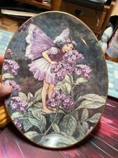 Heliotrope fairy royal for sale  LEIGH