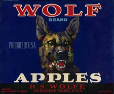 Wolf brand apple for sale  Selah