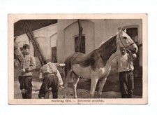 Weltkrieg 1914 schimmel gebraucht kaufen  Neugersdorf