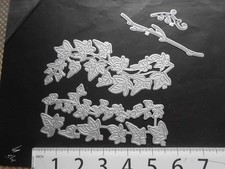 Tattered lace ivy for sale Tattered lace ivy for sale  STURMINSTER NEWTON