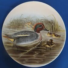 Teal duck poole for sale  YEOVIL