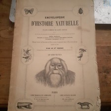 Quadrumanes encyclopédie hist d'occasion Quadrumanes encyclopédie hist d'occasion  Orleans-