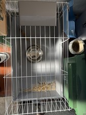 Gabbia per conigli usato Gabbia per conigli usato  Camaiore