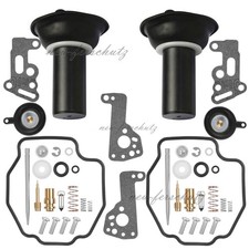 Vergaser reparatur satz gebraucht kaufen  Ginsheim-Gustavsburg