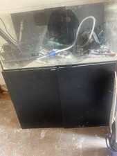 Large coral fish for sale  BRIXHAM