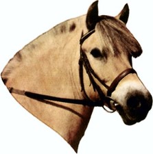 Autocollant cheval fjord d'occasion  Expédié en France