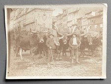 Antique photo brazil d'occasion  Expédié en Belgium