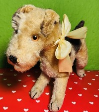 Steiff vorkrieg hund gebraucht kaufen  Mühldorf a.Inn