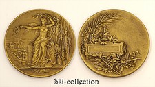 Superbe médaille artistique. d'occasion  Toulouse-