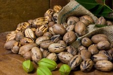 Newly fresh crops for sale  Montezuma